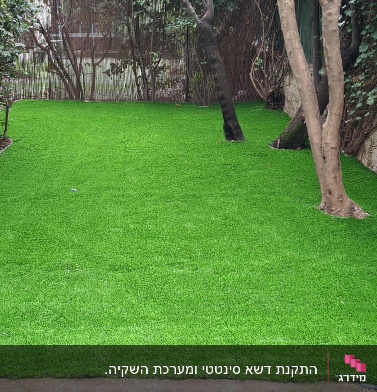 דשא סינתטי ירוק עם עצים מסביב בגינה